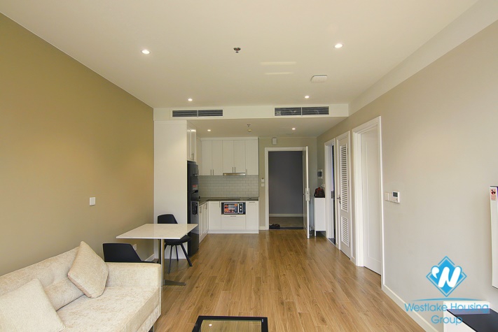 A brand-new and modern design apartment for rent in Thuy Khue  